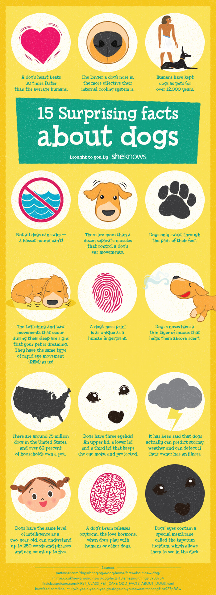 Facts about dogs