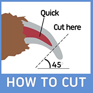 How To Cut Your Dog's Nails