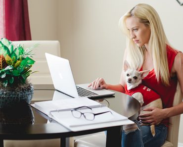 Have a question, want to submit a product for review, or looking to reach a dog-loving audience? Fill out the contact form!