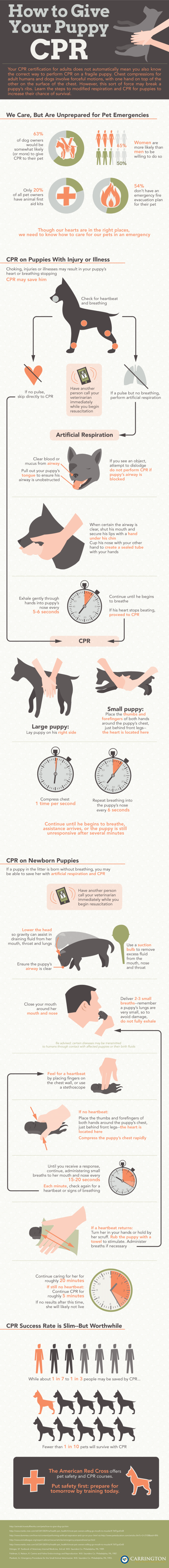 how-to-give-your-puppy-cpr