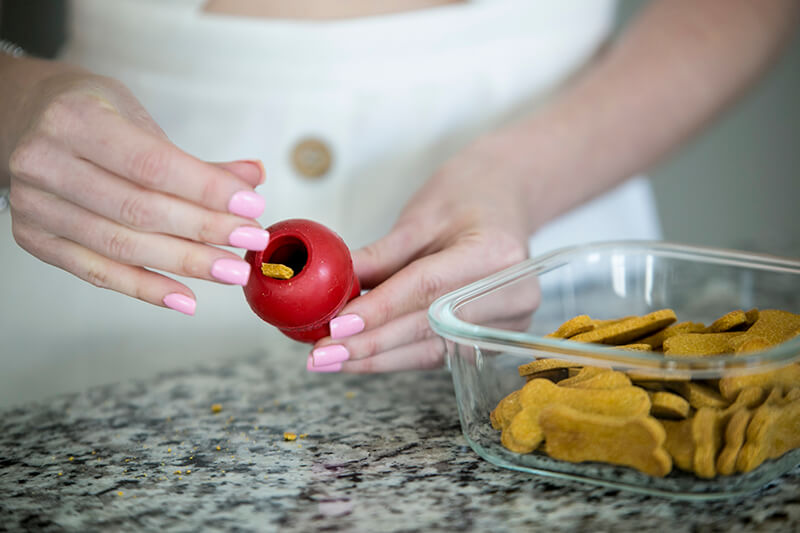 39 Healthy Treats You Can Stuff in a Kong - Puppy Leaks