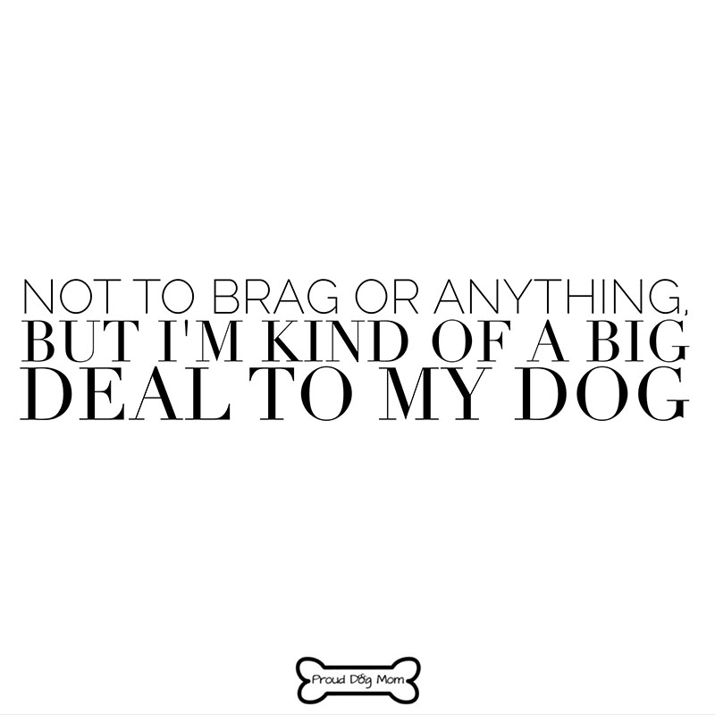 Dog Quotes - Big Deal