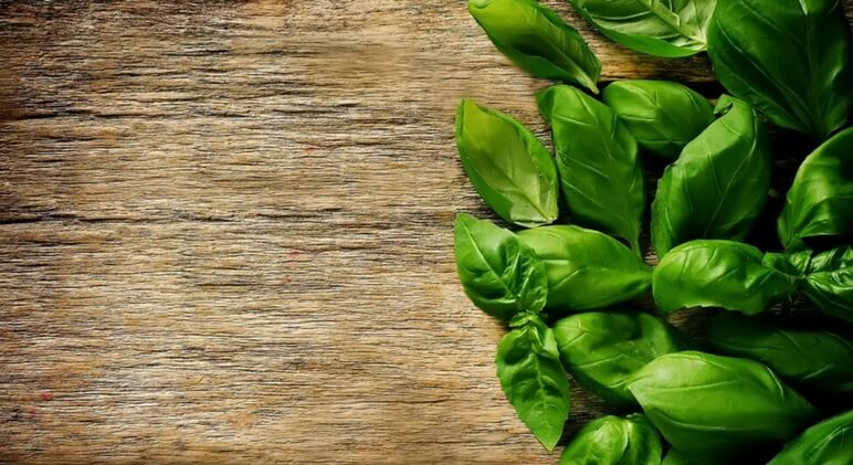 basil