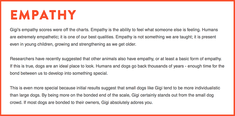 dognition-assessment-empathy-score