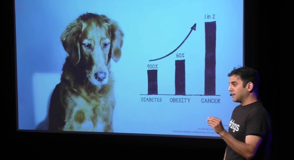 Dog diabetes, obesity, and cancer rates on the rise. In this inspiring TEDTalk, pet nutrition blogger Rodney Habib talks about the importance of diet!