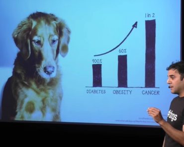 Dog diabetes, obesity, and cancer rates on the rise. In this inspiring TEDTalk, pet nutrition blogger Rodney Habib talks about the importance of diet!