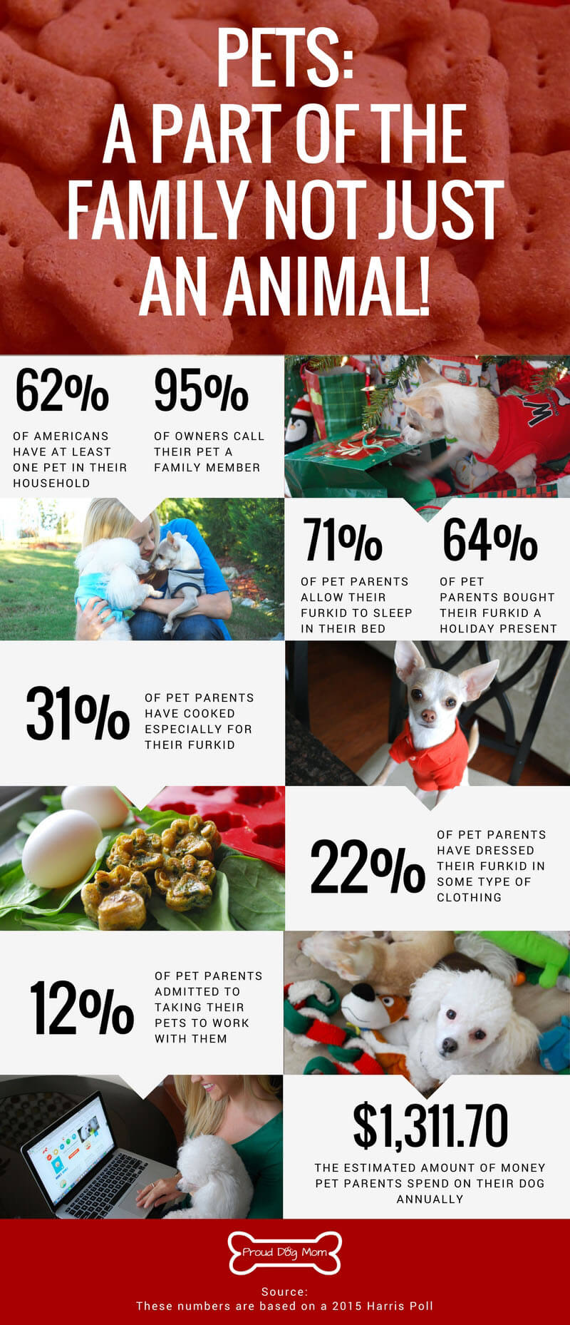 Are Pets Family Members? Check Out This Poll!