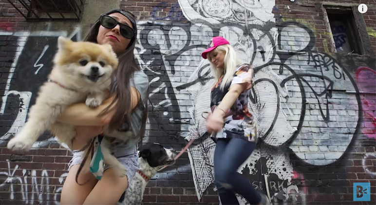 This hilarious Dog Mom Anthem created by BarkBox, a popular dog product delivery service, is one we can all relate to. Watch it here!