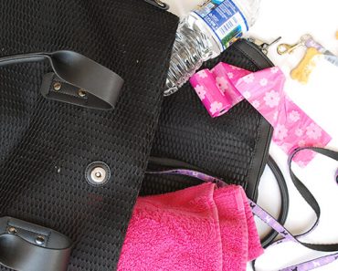 Whether you're heading to a nearby park, beach, or hiking trail, it's always a good idea to pack a dog bag! Check out Proud Dog Mom's list of 10 essentials.