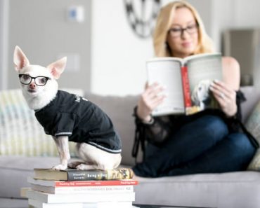 From training tips to understanding of how dogs perceive the world — there's a book for everything! These 10 reads are both fascinating and resourceful.
