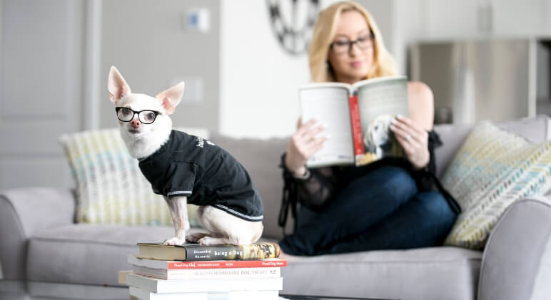 From training tips to understanding of how dogs perceive the world — there's a book for everything! These 10 reads are both fascinating and resourceful.