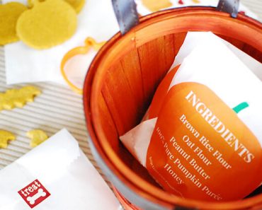 Are you expecting 4-legged guests this Halloween? Along with handing out treats to the humans, make these DIY Trick or Dog Treat Bags for canine visitors!