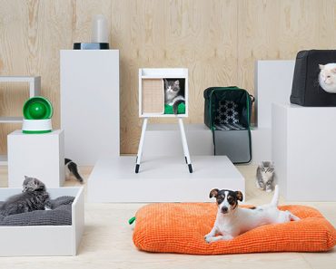 Ikea Launches New Pet Furniture Collection.