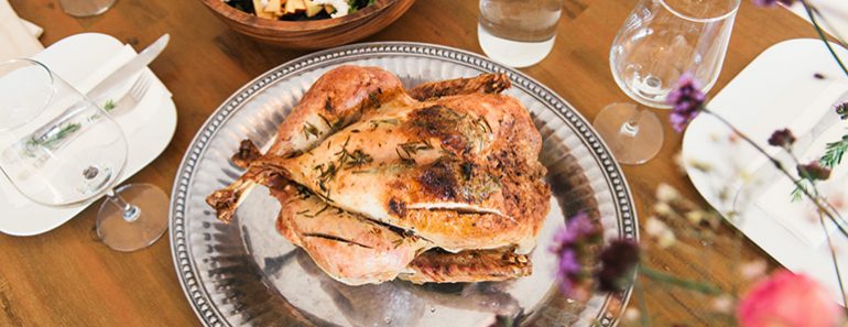 Do you share food with their canine companion? If so, come Thanksgiving, you may ask yourself, "Is turkey safe for dogs?" Get the answer!