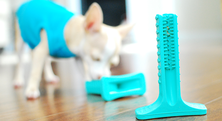 This Must-See Dog Toy Actually Brushes 