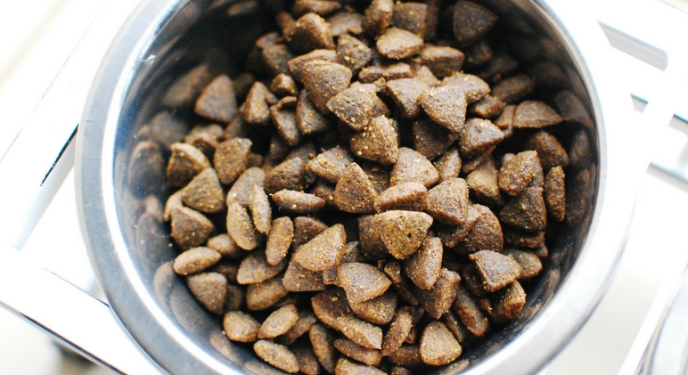 When it comes to mealtime, do you fill your dog's bowl with kibble? If so, there are some things to consider. Read on for selection and storage tips!