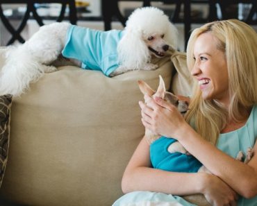 It's time—February 20th is National Love Your Pet Day! Find out how the top 7 ways you can celebrate and honor your furry loved one!