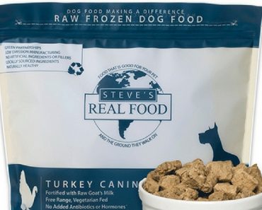 A raw dog food company is voluntarily recalling some of their frozen turkey meals due to possible salmonella contamination. Find out which company's food is the most recent to test positive for salmonella and what pet parents who feed this food are urged to do.