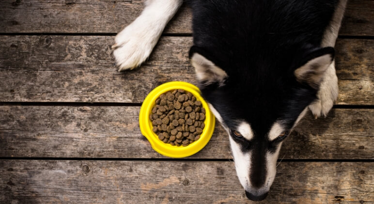 Two more pet food manufacturers issue recalls due to potentially elevated vitamin D levels. Find out the latest foods to watch for.