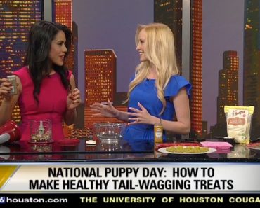 It's National Puppy Day! So why not spoil your pup with a fresh and tasty dog treat? I stopped by Fox26 to help views make some. Watch the segment here.