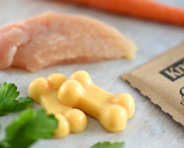 I was sitting at my computer when it hit me – a new dog treat idea that’s meant to benefit joint health. Get the healthy chicken jello recipe inside!