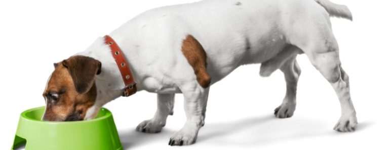 The Food and Drug Administration (FDA) has issued a warning for pet parents to stop feeding 3 lots of Darwin's Natural Pet Products raw dog food.