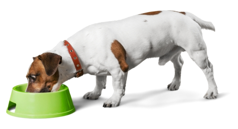 The Food and Drug Administration (FDA) has issued a warning for pet parents to stop feeding 3 lots of Darwin's Natural Pet Products raw dog food.