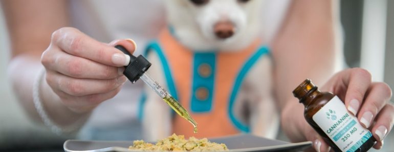 As I place my next order for Cannanine Organic Hemp CBD Oil, I wanted to share the many ways you can incorporate this liquid gold into your dog's diet.