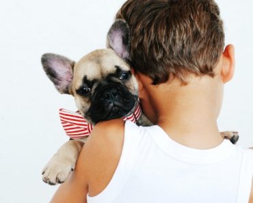 Planning to welcome a new dog into your home? First, check out this list of 15 family-friendly dog breeds that are considered to be great with kids!