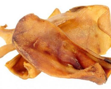 TDBBS of Richmond, VA, is voluntarily recalling a limited distribution of their pig ear dog treats after tests come back positive for Salmonella.