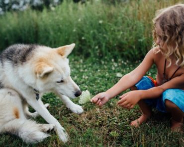 A death in the family is always difficult and, in many ways, the loss of a pet can be devastating. Here are tips to help your kids cope.
