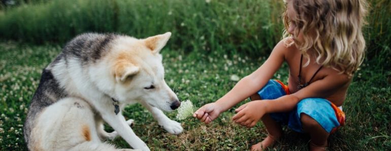 A death in the family is always difficult and, in many ways, the loss of a pet can be devastating. Here are tips to help your kids cope.