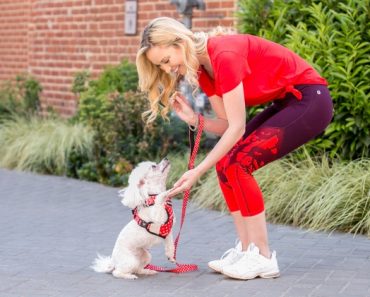 Along with spoiling your new pup, it's always a good idea to start teaching commands early. See the 4 essential commands to teach your puppy.