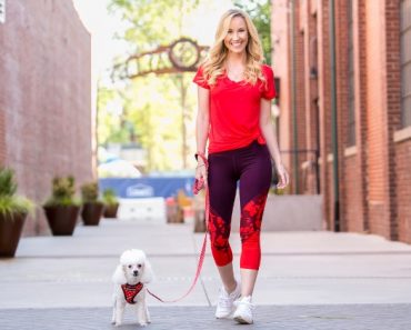 6 Steps To Master Leash Training