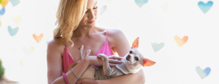 Do you suspect your dog suffers from separation anxiety? I recently interviewed a certified dog trainer about common stymptoms, relief tips, and advice.
