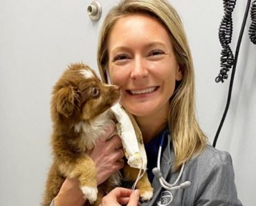 I recently interviewed the amazing Ashley Gray -- a veterinarian in the Charlotte, North Carolina area. Watch as I ask her your top dog health questions!