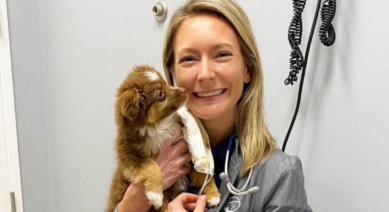 I recently interviewed the amazing Ashley Gray -- a veterinarian in the Charlotte, North Carolina area. Watch as I ask her your top dog health questions!