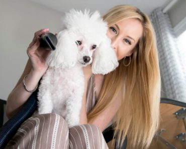 When it comes to grooming, how does your dog handle the blow dryer? The loud noise and extreme air blasts can be scary. Follow these desensitizing steps!