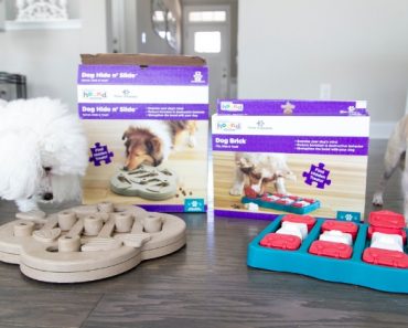 Dog puzzles and interactive games are a great way to mentally stimulate your pooch and beat boredom! Check out 11 fun puzzles that your dog will love.