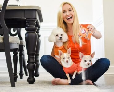 Did you know baking soda is beneficial for dog parents? Read on for seven ways it may help in your canine-filled home! Some of these tips may surprise you!