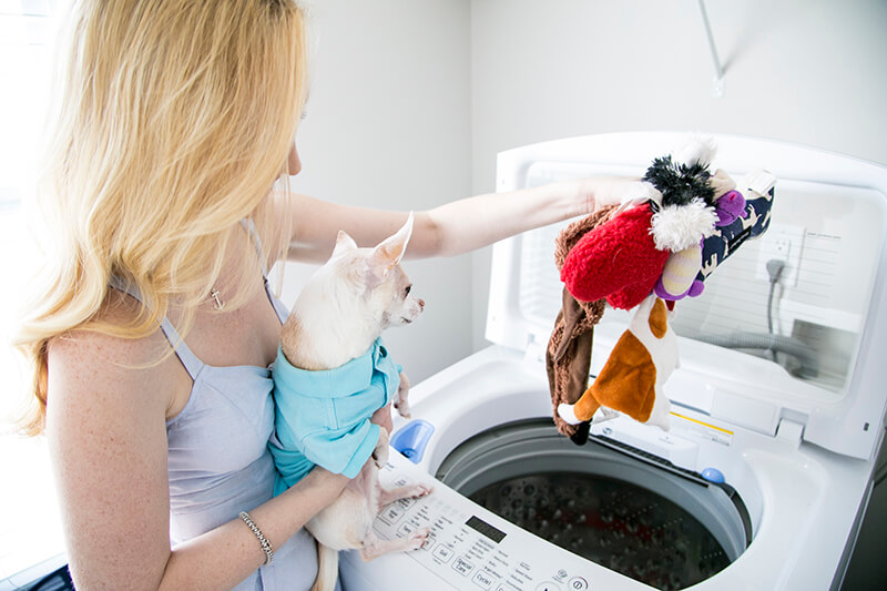 How To Wash Plush Dog Toys With Squeakers