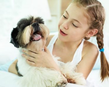 Have a child who loves dogs? If your kiddo craves to pet all the pups, check out this guide filled with 8 essential tips for how kids should greet dogs.