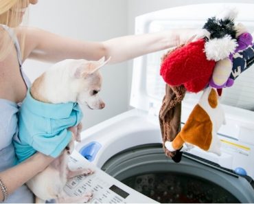 https://www.prouddogmom.com/wp-content/uploads/2020/07/How-To-Clean-Dog-Toys-370x297.jpg