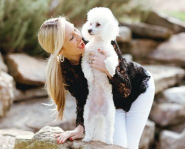 Maintaining a healthy weight is essential for your dog’s overall health. Read on to find out if your dog is too thin, a healthy weight, or overweight.