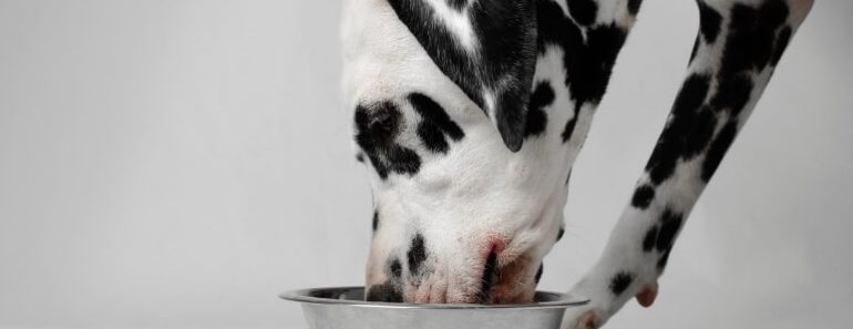 Sunshine Mills, Inc. is voluntarily recalling some of its Nature’s Menu® Super Premium Dog Food due to possible Salmonella contamination.