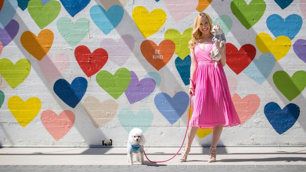 There are plenty of reasons you may book a professional dog photoshoot. Here are some tips to keep your session fuss-free and fun!