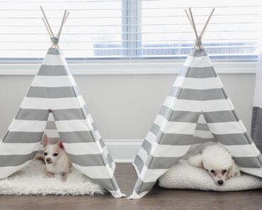 Create a comfy and cozy spot for your canine comanion with this easy-to-make DIY Teepee Dog Bed! Check out the step-by-step tutorial.