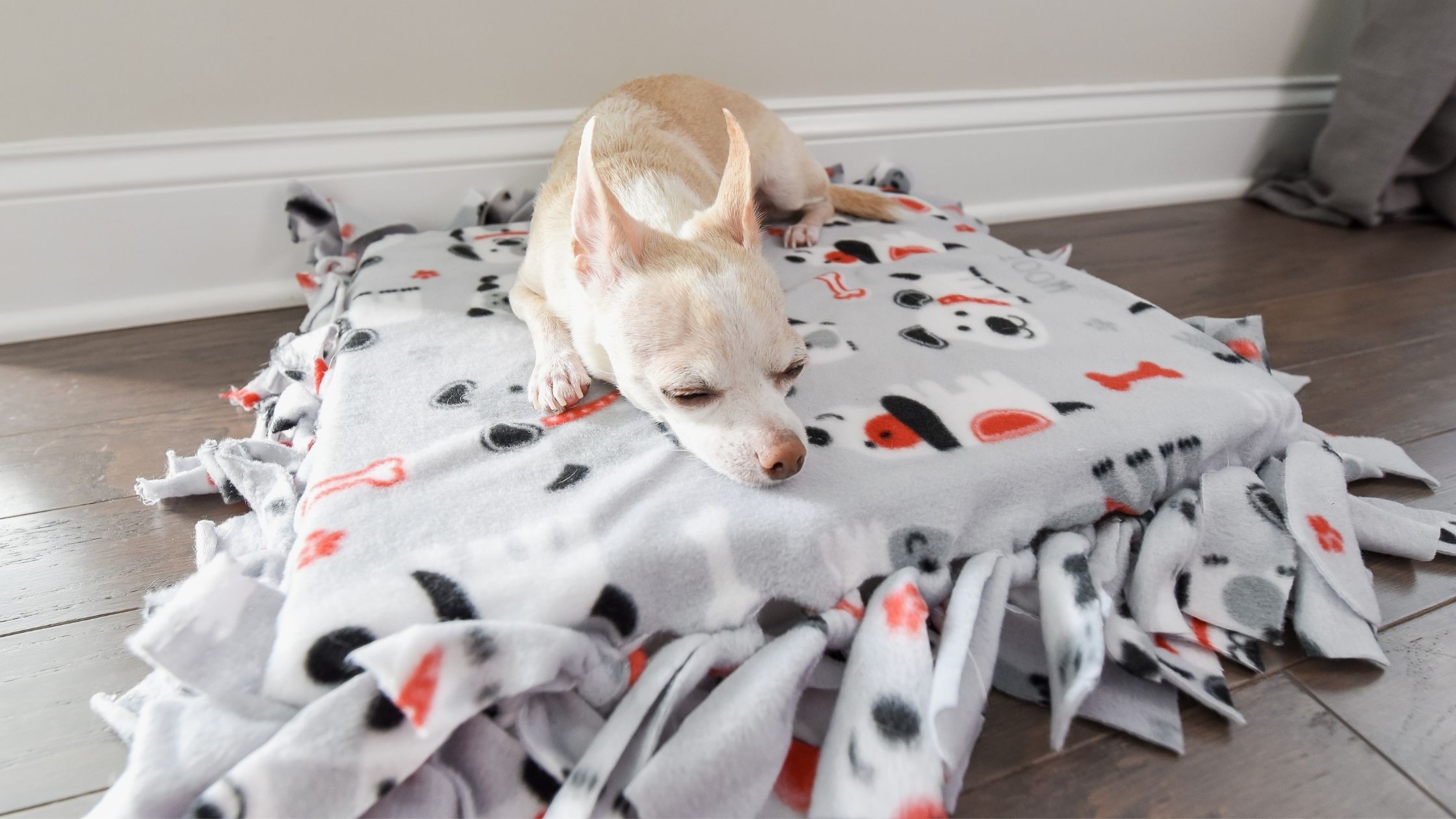 DIY No-Sew Dog Bed: An Easy, Cheap, and Fun Project for Your Pup