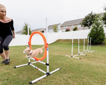 Ever watch dogs weave between poles, run through tunnels, and jump over objects? Well, that’s called agility ... and wow is it fun!