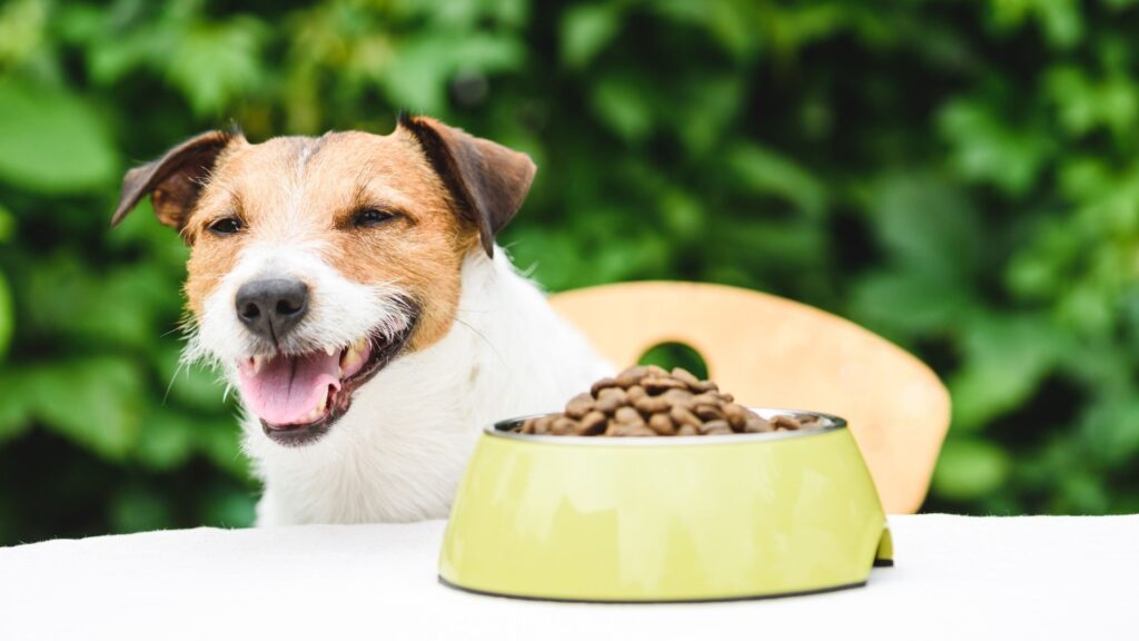 If kibble is what's in your budget, opt for the highest quality kibble you possibly can. Plus, enhance your pup's bowl with some whole foods.